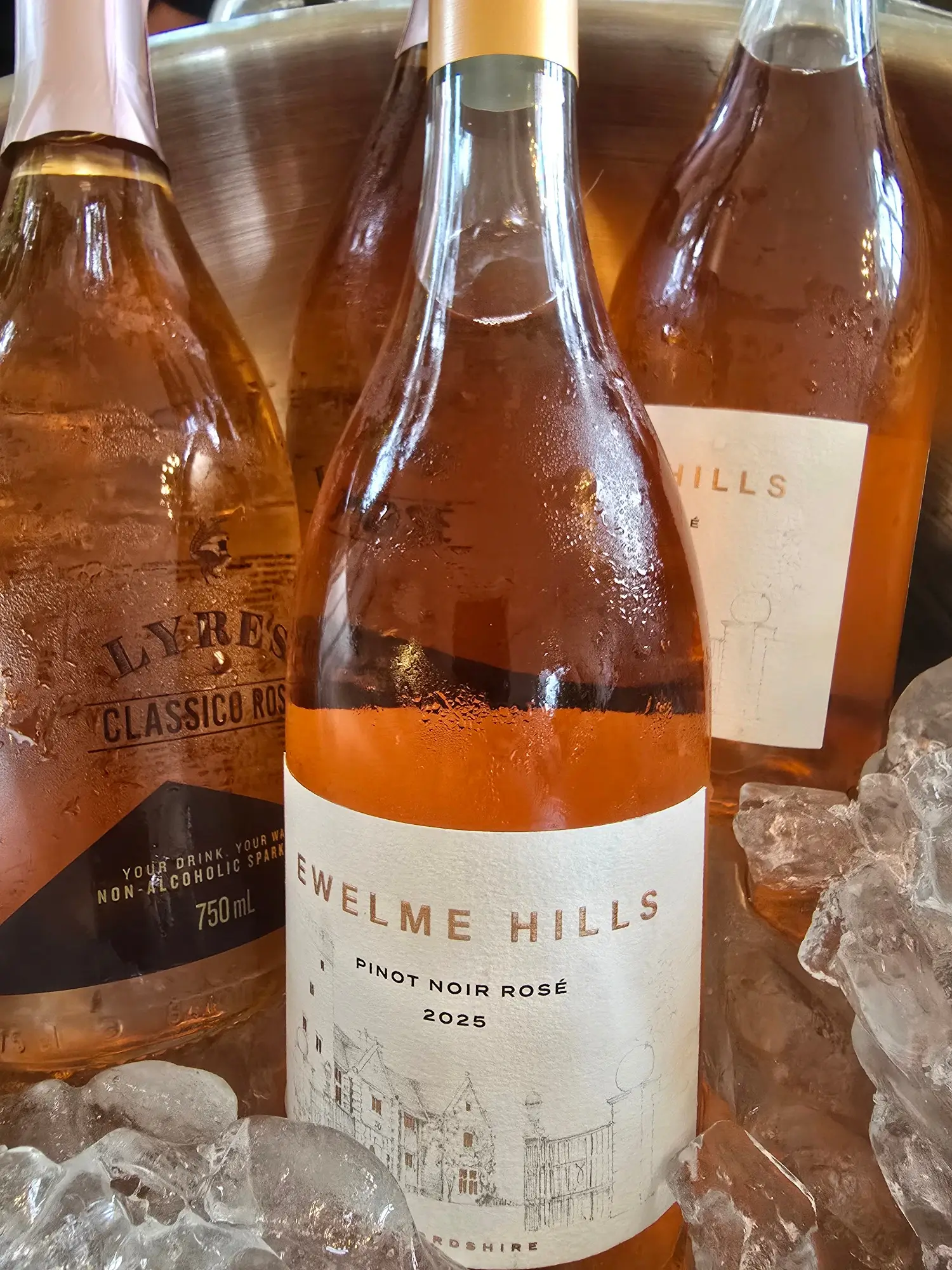 Ewelme Hills Pinot Noir Rosé on ice Ewelme Hills Pinot Noir Rosé 2025 on ice